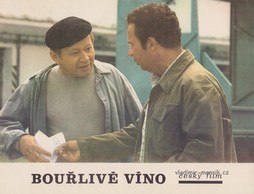 Vladimír Menšík: Bouřlivé víno (1976)