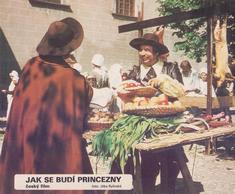 Vladimír Menšík: Jak se budí princezny (1978)